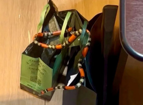 Cobra invade loja de cosméticos e assusta funcionárias em MS