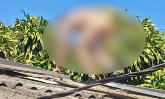 Homem chegou a subir em telhado para fugir do ex da mulher - Foto: Divulgação