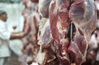 Comitiva destaca importância de ação governamental para abertura de mercado no continente asiático