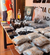 Frascos de canabidiol, drogas, celulares e dinheiro foram apreendidos - Foto: Sidnei Bronka/Reprodução