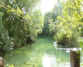 Rio Formoso é um patrimônio ecológico e turístico - Foto: Divulgação