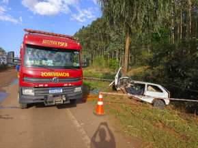 Carro seguia sentido Dourados - Deodápolis, quando bateu no coqueiro; Foto: Sidnei Bronka/Ligado Na Notícia