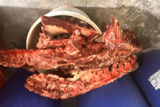 Alimentos foram apreendidos e serão descartados (Foto: divulgação/)