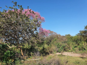 Pesquisados do Imam e entidades parceiras vão realizar pesquisa ambiental no Parque Natural Municipal do Paragem. Fotos: Divulgação/Assecom