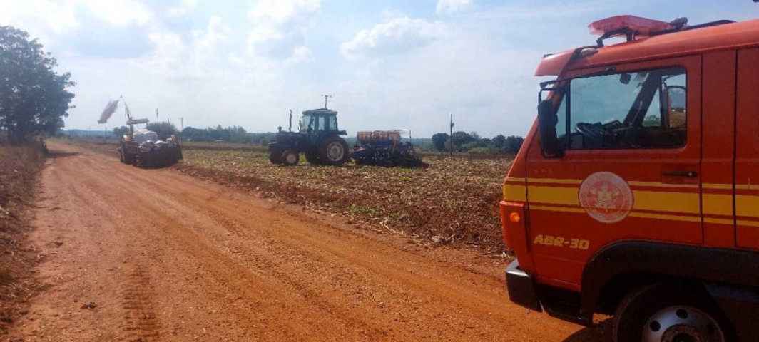 Local onde o idoso foi atacado (MS News)