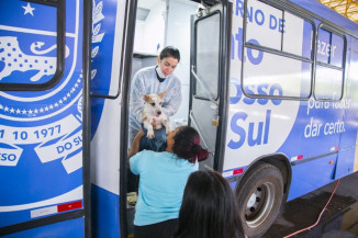 Dourados prioriza proteção animal com a Caravana da Castração