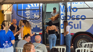 Manhã está sendo dedicada à castração de cachorros - Foto: Dourados Agora