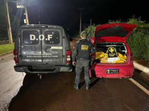 DOF apreende 282 quilos de maconha em Maracaju