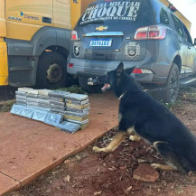 No compartimento foram encontradas duas mochilas contendo 43 tabletes de cocaína - Foto: PMMS