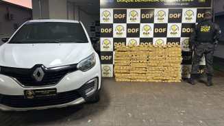 DOF apreende mais de 700 kg de maconha em carro roubado em área rural