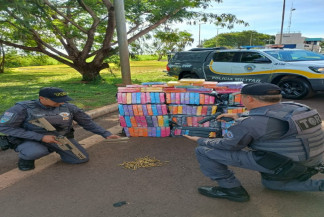Apreensão ocorreu durante vistoria policial