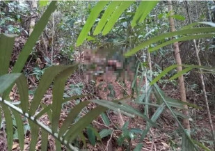 Corpo executado com tiros na cabeça e no ouvido é encontrado em decomposição na fronteira