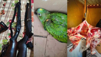 Ao atender chamado de violência doméstica, polícia liga suspeito a diversos crimes / Cenário MS
