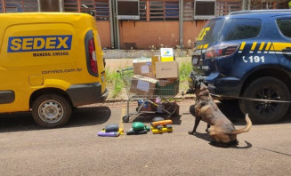 PRF e Correios interceptam encomendas com drogas escondidas em Campo Grande
