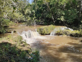 Investigação constatou foram constatadas Áreas de Preservação Permanente (APPs) sem cercamento adequado, trechos com ausência de vegetação arbórea e travessias irregulares de gado e veículos - Foto: MPMS