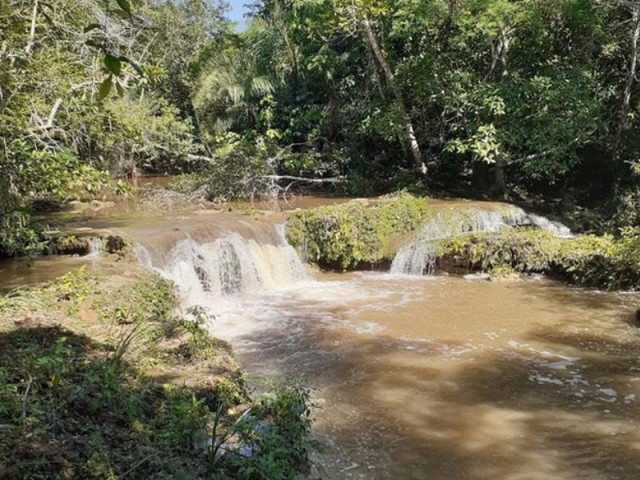 Investigação constatou foram constatadas Áreas de Preservação Permanente (APPs) sem cercamento adequado, trechos com ausência de vegetação arbórea e travessias irregulares de gado e veículos - Foto: MPMS