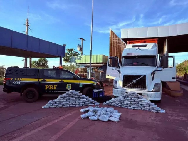 PRF apreendeu 172 quilos de skunk escondidos em um caminhão durante fiscalização na BR-262, em Corumbá (Foto: Divulgação / PRF)