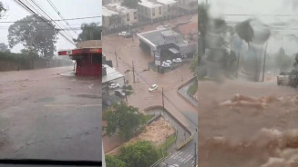 Temporal de 1h30 alaga ruas, derruba árvores e deixa Campo Grande em caos