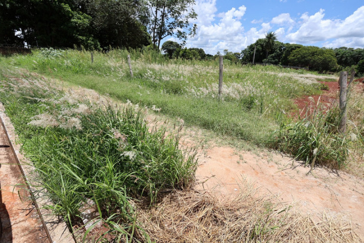 A iniciativa busca preservar a limpeza e a organização da cidade, especialmente diante do crescimento acelerado da vegetação provocado pelas chuvas – Foto: A. Frota