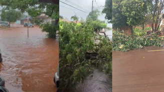 Estragos causados pela chuva foram registrados em diversos bairros da Capital (Foto: Midiamax)
