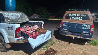 Carga furtada foi apreendida. (Foto: Cenário MS)