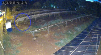 Furto ocorreu na madrugada desta quinta-feira  - Foto: Reprodução