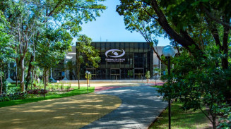 TCE-MS prevê gastar quase R$ 464 mil com jardinagem e plantas ornamentais