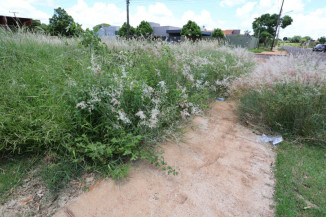 A iniciativa busca preservar a limpeza e a organização da cidade, especialmente diante do crescimento acelerado da vegetação provocado pelas chuvas. Foto: A. Frota