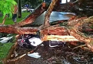 Temporal derruba árvore sobre motociclista e causa estragos em Dourados
