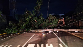 Temporal derruba 32 árvores e causa estragos na região noroeste de Dourados