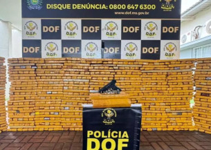 Homem morre em confronto com o DOF durante apreensão de quase 2 toneladas de maconha