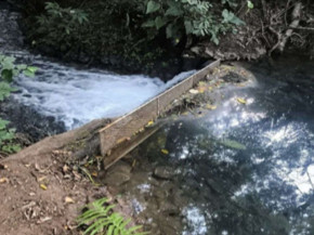 MP investiga empresa de turismo por danos ambientais em área de nascentes em Bonito