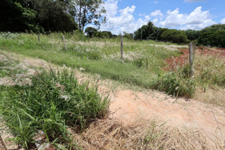 Multa para proprietários de terrenos com mato e sujeira começa no dia 5
