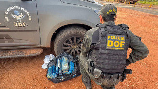 DOF flagra adolescentes com drogas e arma durante abordagem na MS-164