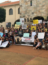 Manifestantes que defendem a causa animal se reuniram no centro de Dourados, no domingo - Crédito: Divulgação/ Colaboração Karla Gomes