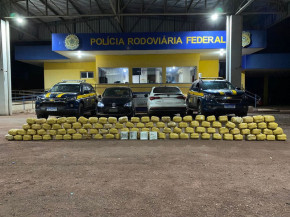 Dois são presos pelo transporte de skunk em Miranda