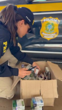 Dupla é presa com "bombas" e medicamentos para emagrecer em abordagem policial