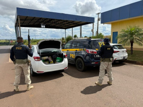 Droga que tinha Sete Quedas como destina é apreendida em Eldorado