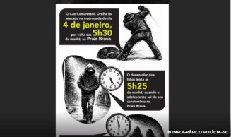 Cão Orelha: Polícia usa imagens e dados de celular para desvendar caso