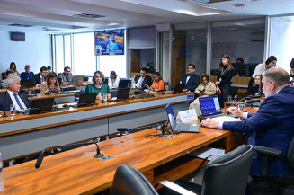 Comissão aprovou relatório com texto alternativo de Damares; texto vai à CCJ, onde ainda pode sofrer alterações Geraldo Magela/Agência Senado  Fonte: Agência Senado
