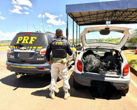 PRF apreende 122 Kg de maconha em Mundo Novo