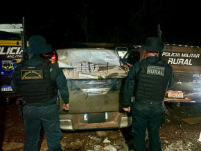 Polícia apreende 2 toneladas de maconha em assentamento