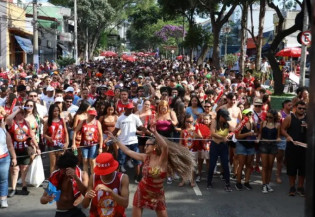 Folião deve evitar levar celular e cartão de crédito para eventos do carnaval  Foto: Rovena Rosa/Agência Brasil
