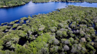Governo lança edital para combate ao desmatamento na Amazônia
