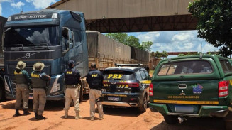 Carga ilegal de madeira é apreendida em Rio Brilhante