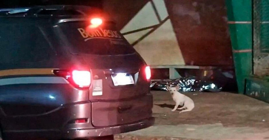 Mulher é encontrada morta em ponto de ônibus próximo ao PAM de Caarapó / Assessoria de Comunicação Social da 2ª CIPM/CPA-1/PMMS