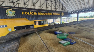 PRF intercepta mais de 3 toneladas de maconha escondidas em carga de soja na BR-163