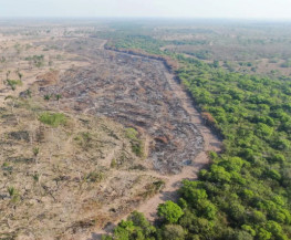 Inpe aponta alta de 45,5% nos alertas de desmatamento no Pantanal