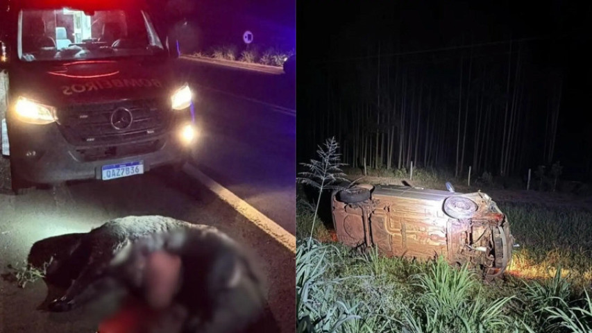 Carro capotou e motorista foi encaminhado para o hospital; javali morreu no local - Foto: Reprodução/ Nova News