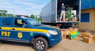 PRF apreende mais de 1,5 tonelada de maconha em caminhão na BR-267 em MS
